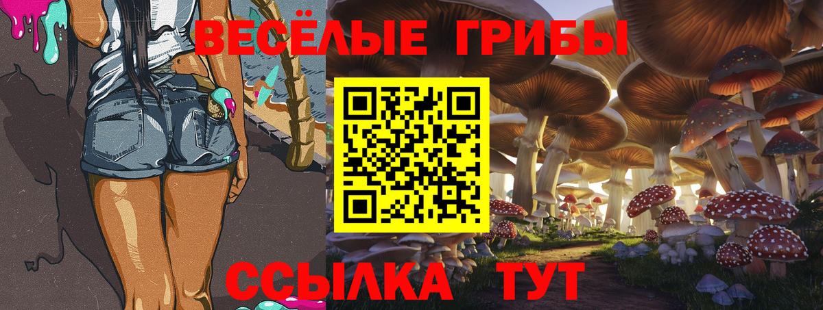 Галлюциногенные грибы Magic Shrooms Сокол